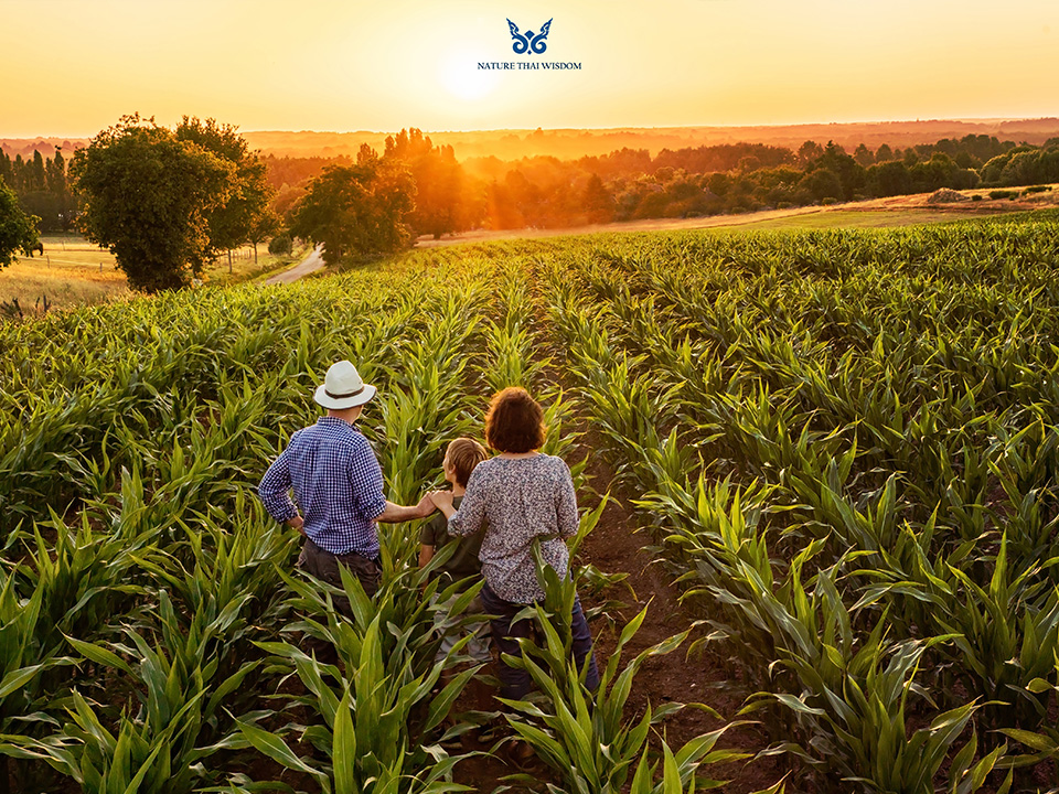 Nature Thai Wisdom กับการสร้างสินค้า และบริการ ด้วยการนำความเป็นไทยและนวัตกรรม มุ่งสร้างชีวิตที่ดีกว่าของชาวไทยและชาวโลก